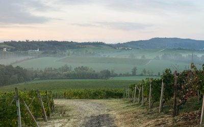 Impianti geotermici nell’Alessandrino